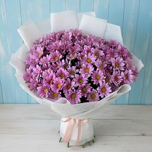 Букет цветов из:  Хризантемы #REPLACE_PRED# Кирове Калужской области