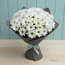 Букет цветов из:  Хризантемы в Кирове Калужской области