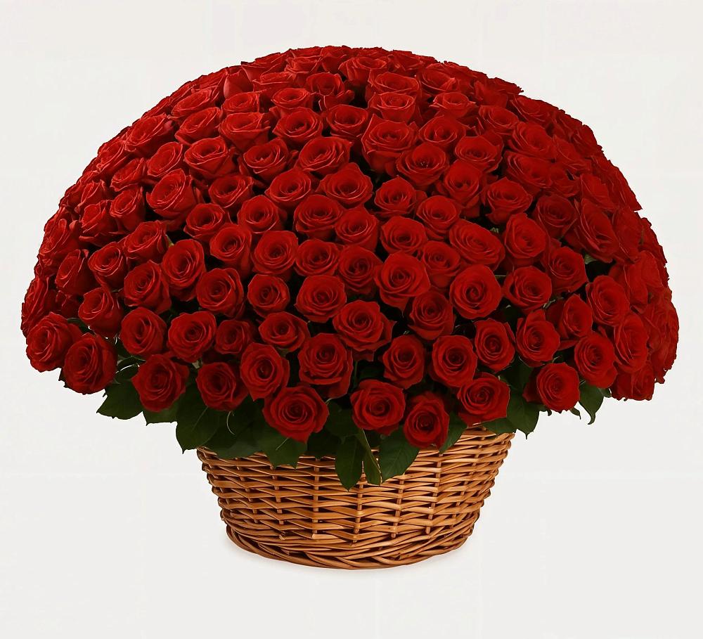 Премиум букет из: Розы в Кирове Калужской области