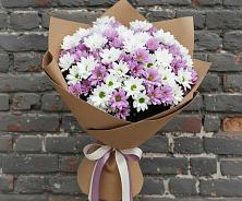 Букет цветов из:  Хризантемы в Кирове Калужской области