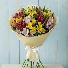 Букет цветов из:  Альстромерии в Кирове Калужской области