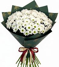 Букет цветов из:  Хризантемы в Кирове Калужской области